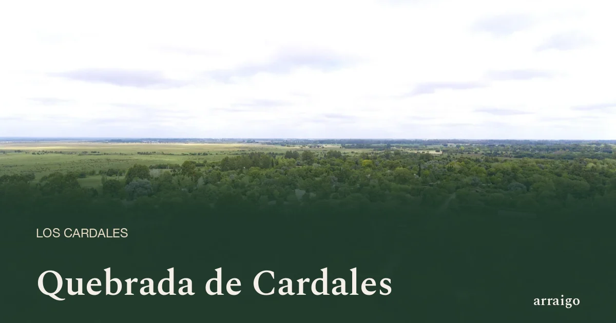 Quebrada de Cardales